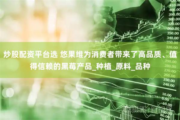 炒股配资平台选 悠果维为消费者带来了高品质、值得信赖的黑莓产品_种植_原料_品种