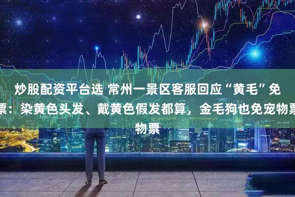 炒股配资平台选 常州一景区客服回应“黄毛”免票：染黄色头发、戴黄色假发都算，金毛狗也免宠物票
