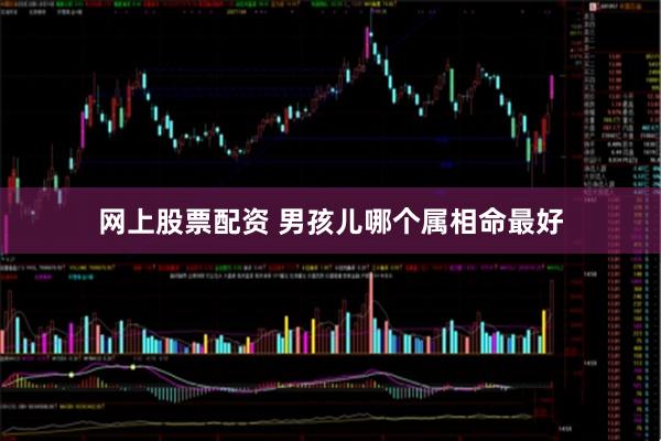 网上股票配资 男孩儿哪个属相命最好