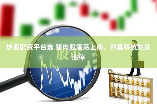 炒股配资平台选 猪肉股震荡上扬，邦基科技触及涨停